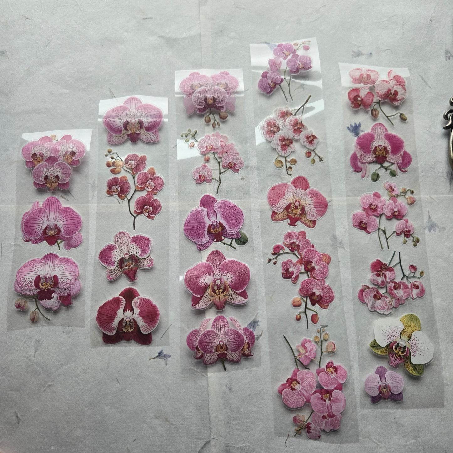 London Gifties Jazzy Moth Orchids 6cm Wide Kiss Cut Ink PET Tape
