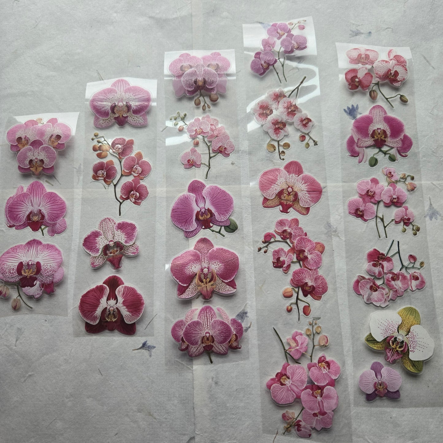 London Gifties Jazzy Moth Orchids 6cm Wide Kiss Cut Ink PET Tape