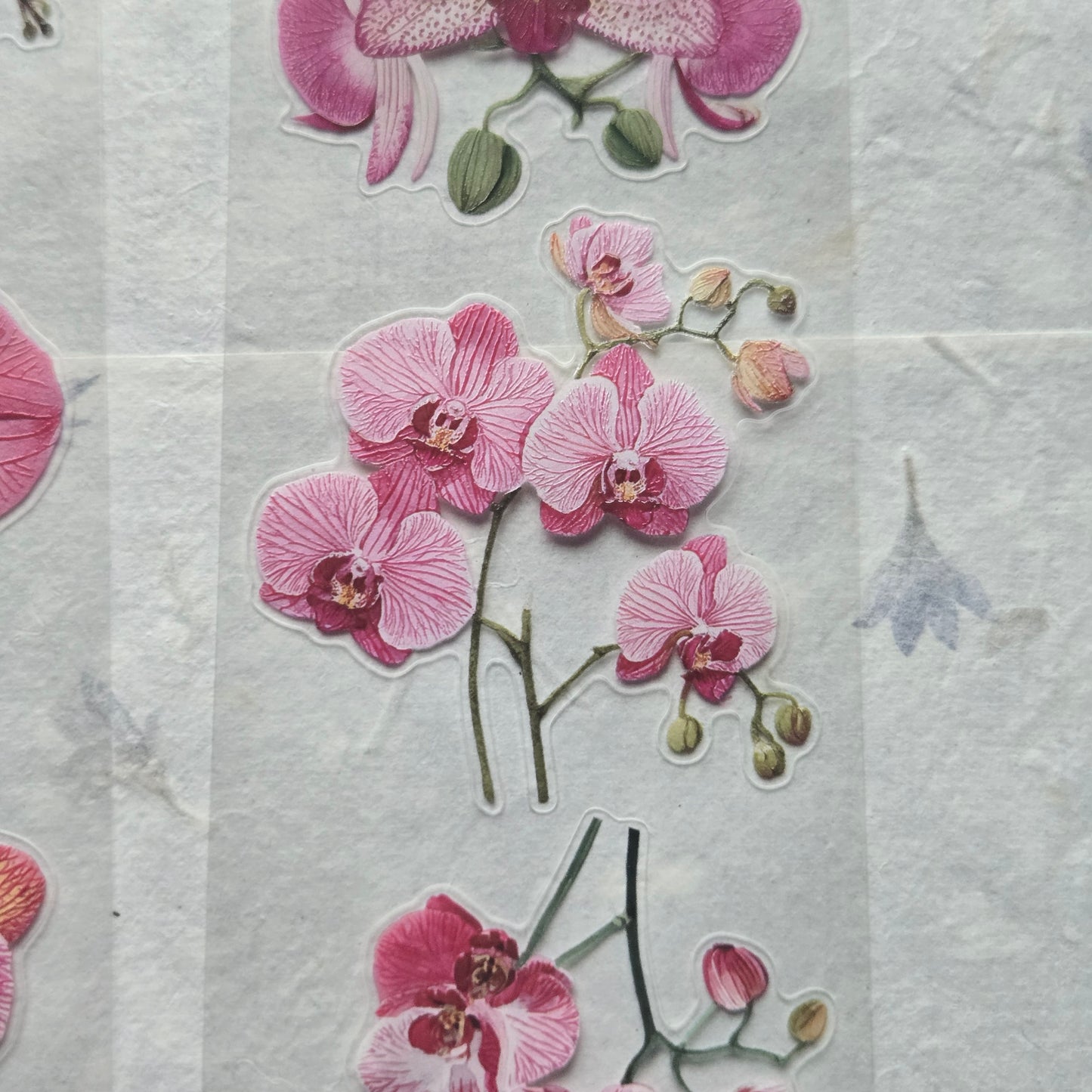London Gifties Jazzy Moth Orchids 6cm Wide Kiss Cut Ink PET Tape