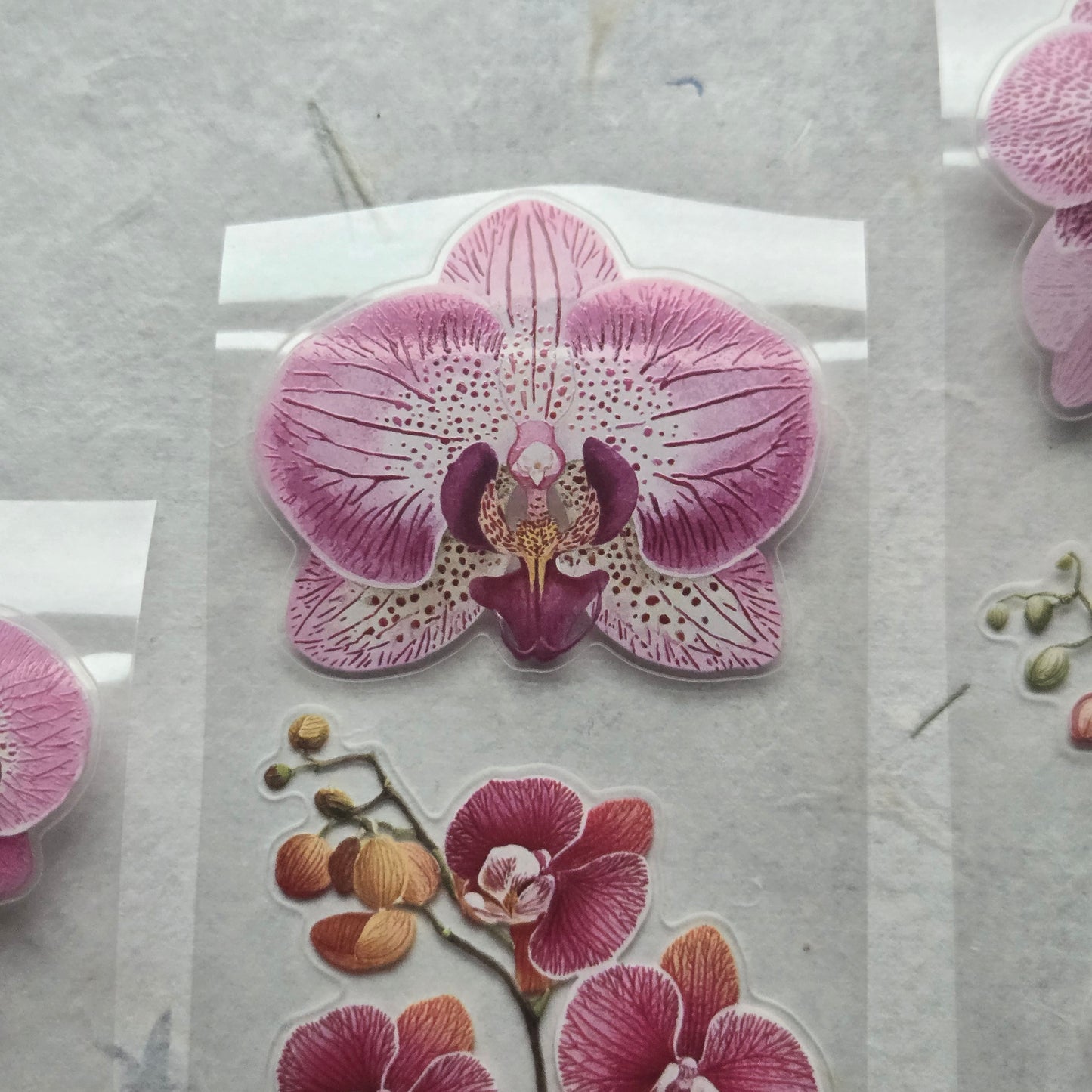 London Gifties Jazzy Moth Orchids 6cm Wide Kiss Cut Ink PET Tape