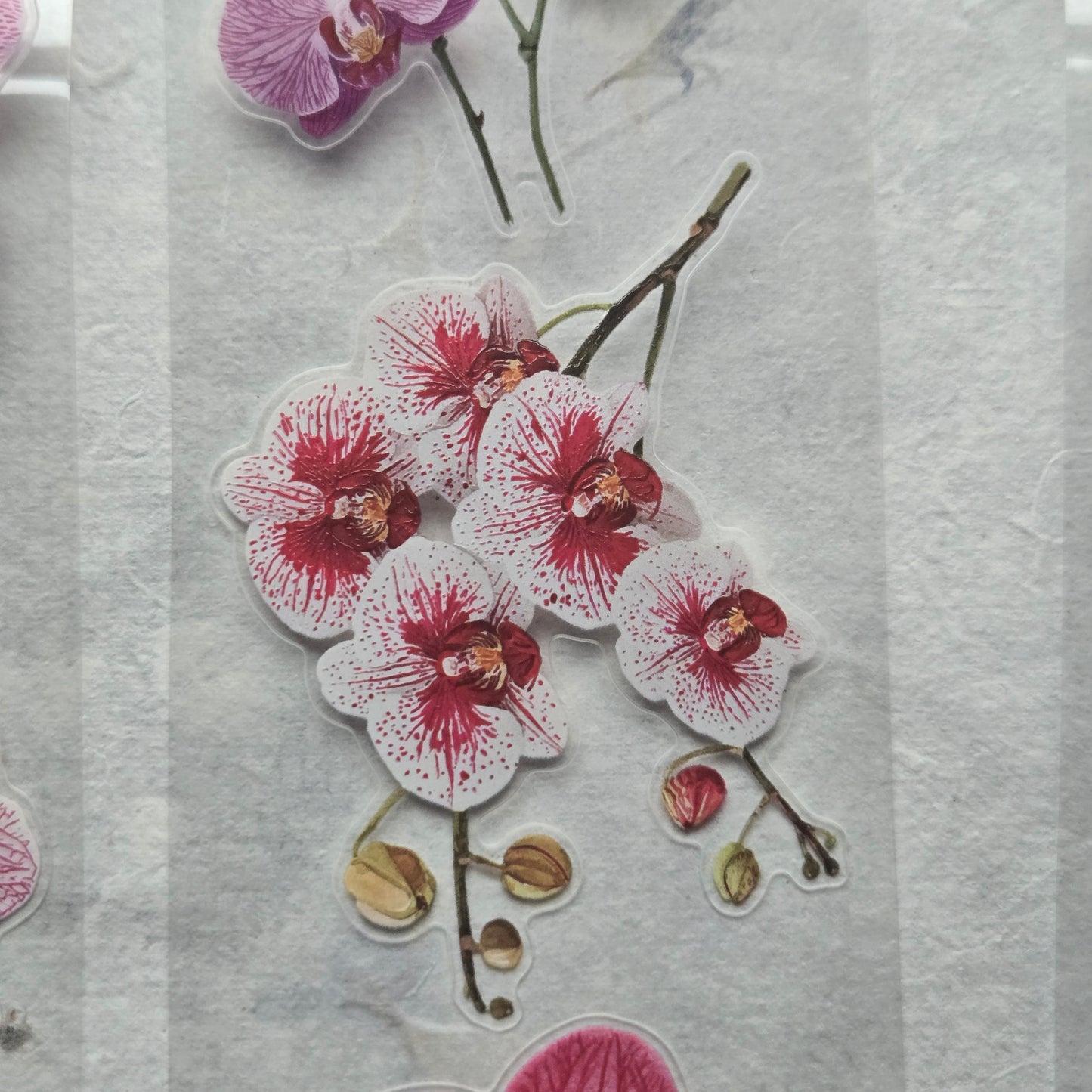 London Gifties Jazzy Moth Orchids 6cm Wide Kiss Cut Ink PET Tape