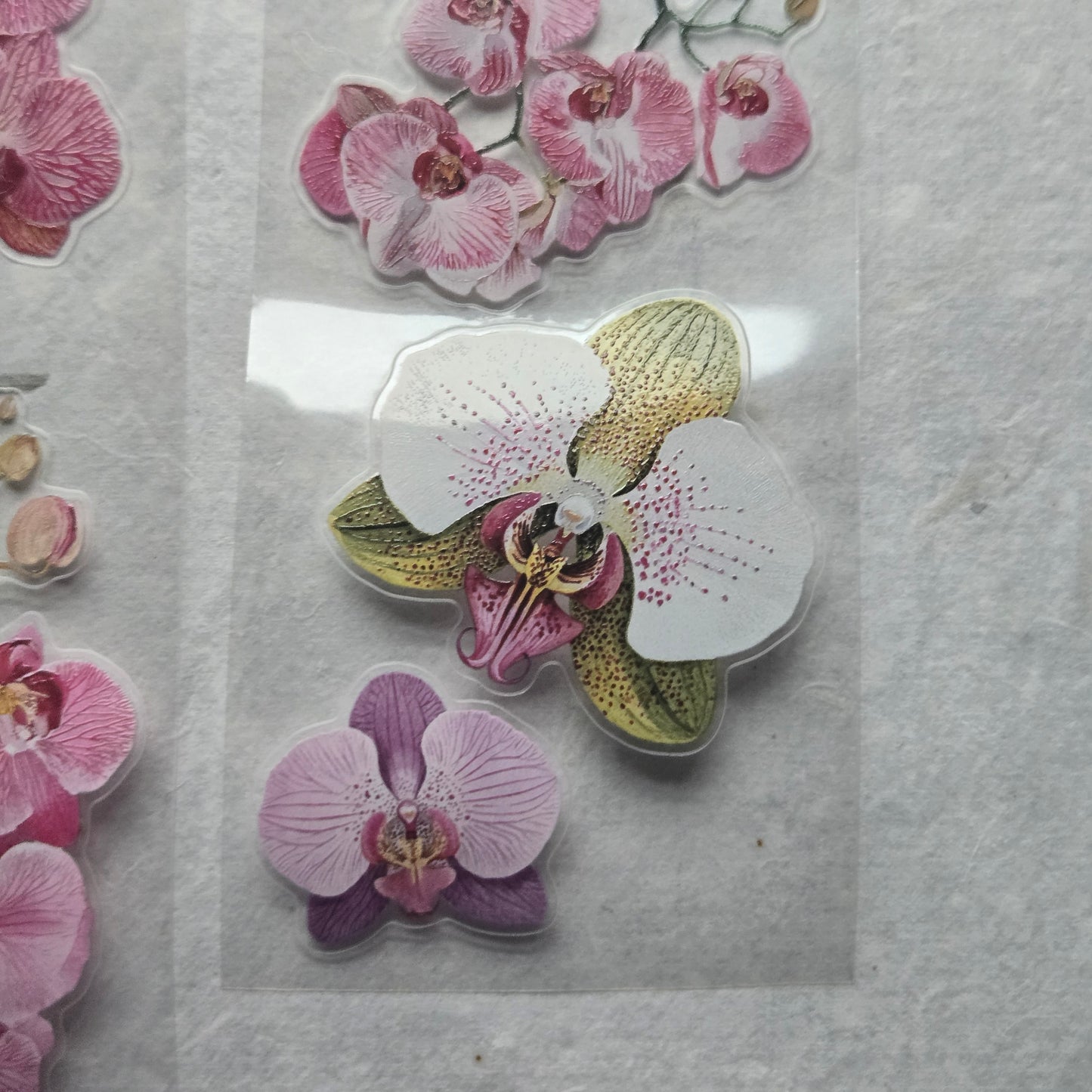 London Gifties Jazzy Moth Orchids 6cm Wide Kiss Cut Ink PET Tape