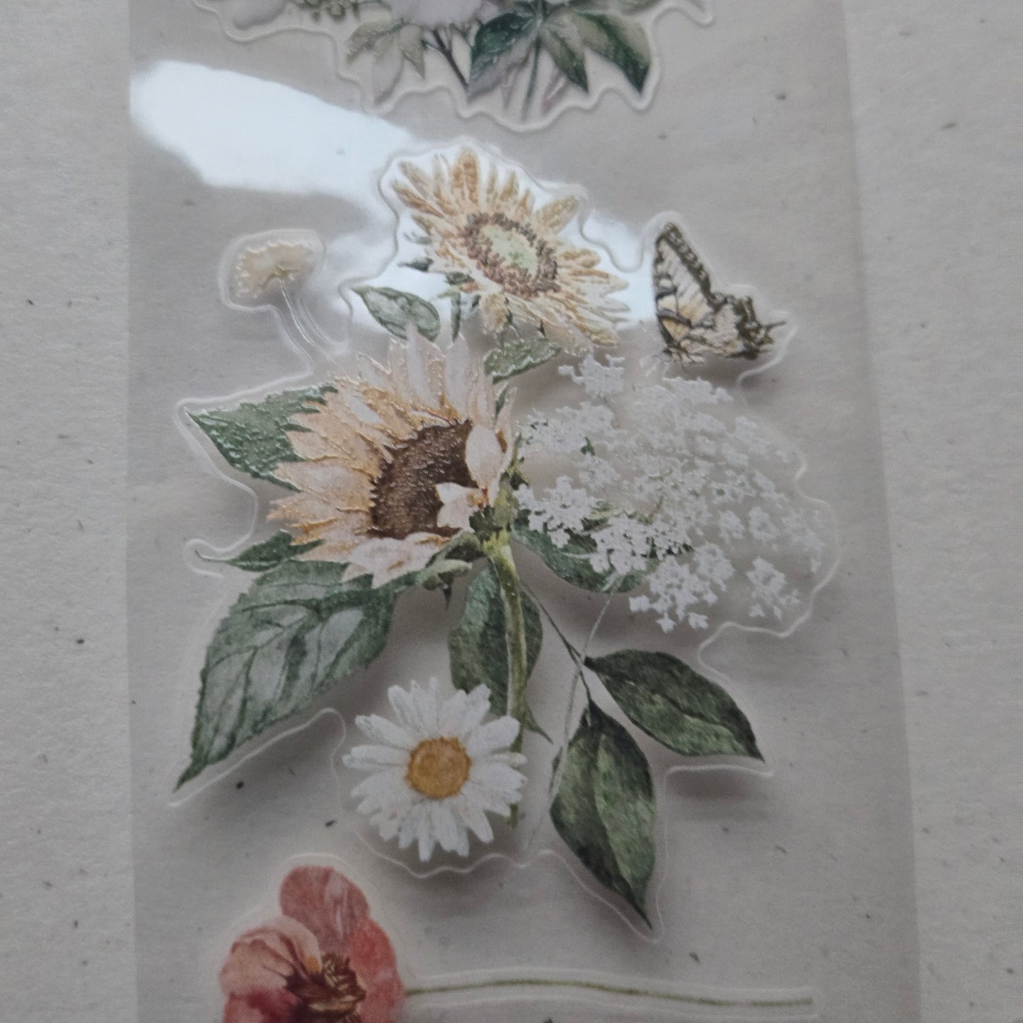 London Gifties Gentle Wild Meadow Blooms 6cm Wide Kiss Cut Ink PET Tape