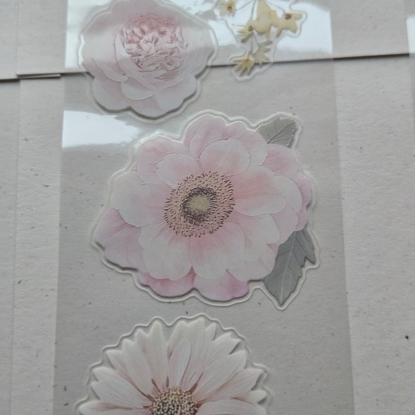 London Gifties Gentle Wild Meadow Blooms 6cm Wide Kiss Cut Ink PET Tape