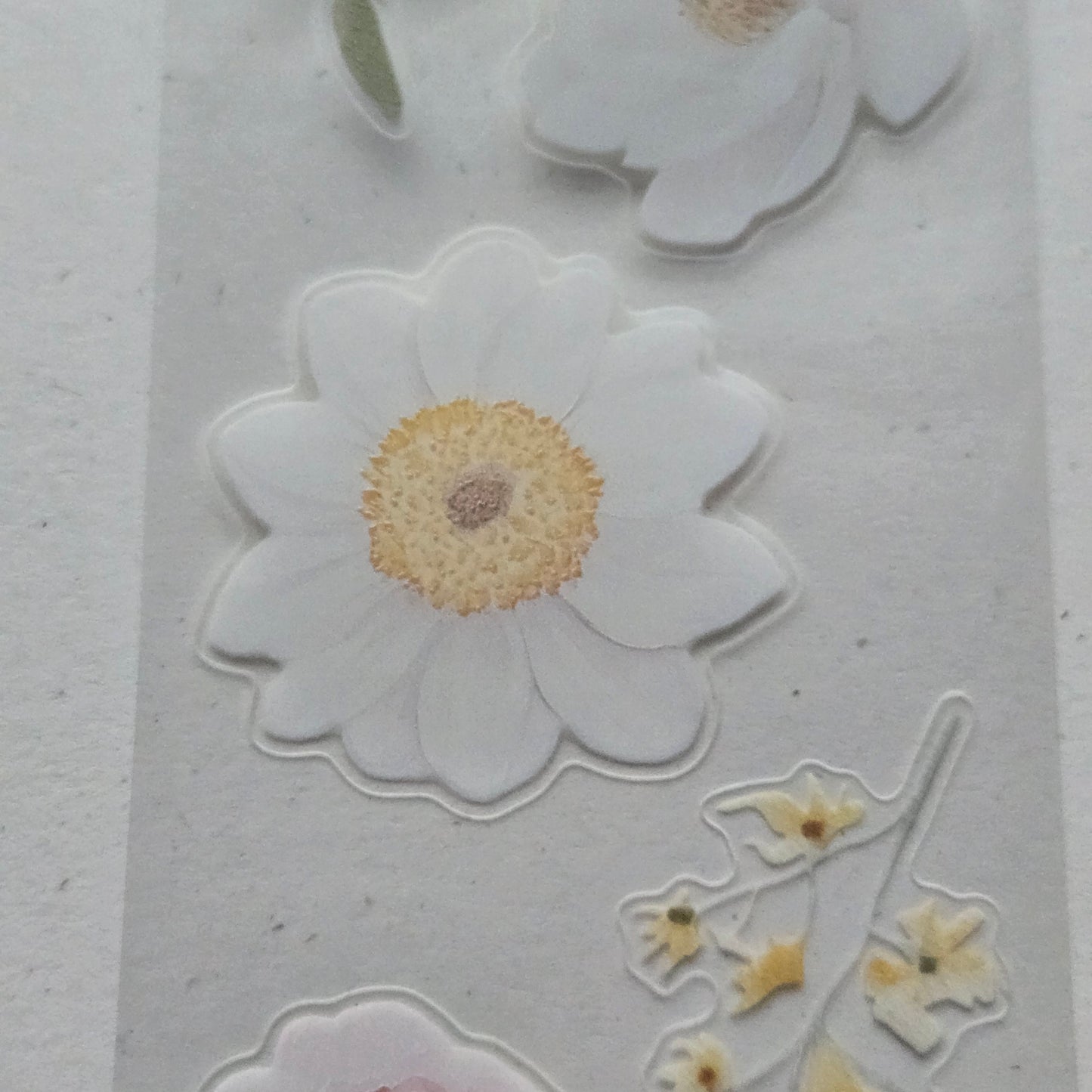 London Gifties Gentle Wild Meadow Blooms 6cm Wide Kiss Cut Ink PET Tape