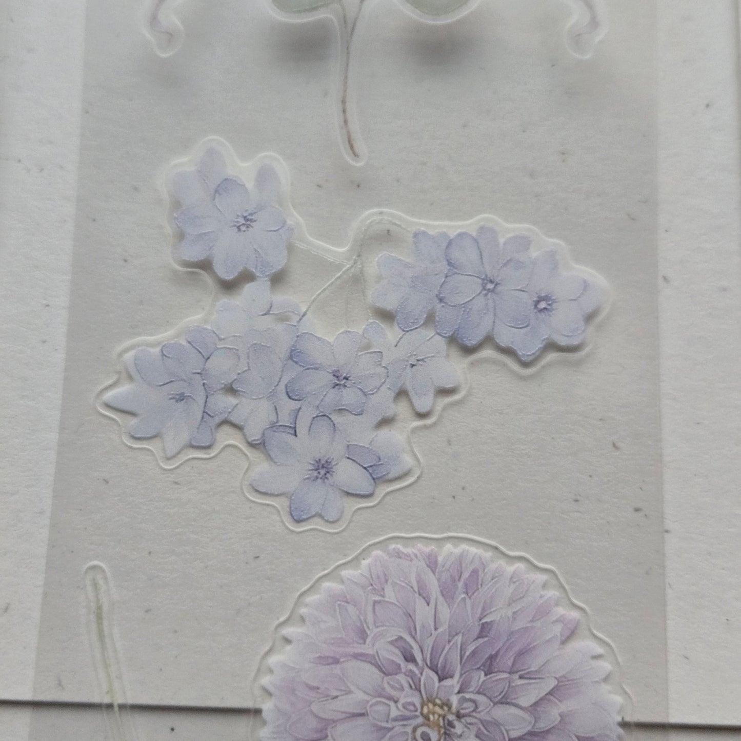 London Gifties Gentle Wild Meadow Blooms 6cm Wide Kiss Cut Ink PET Tape