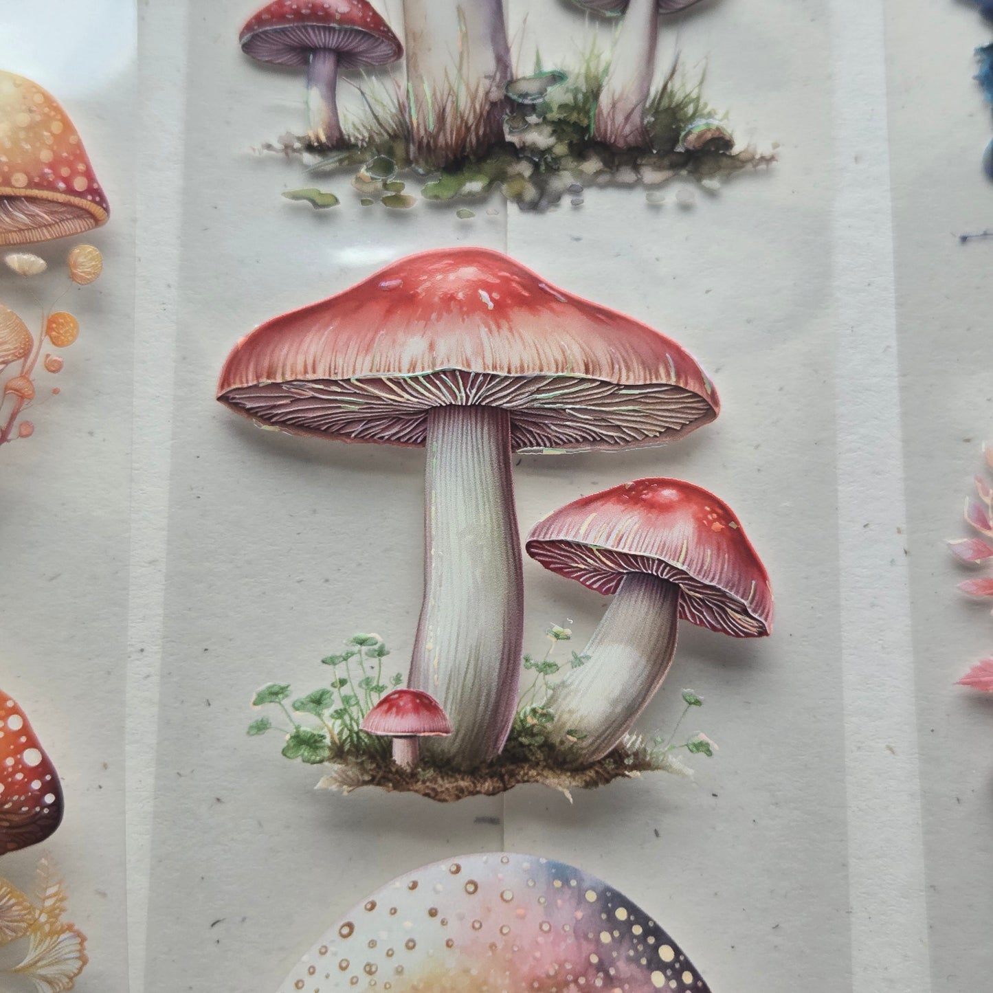 London Gifties A Mushroom Rainbow 6cm Wide Kiss Cut Ink PET Tape