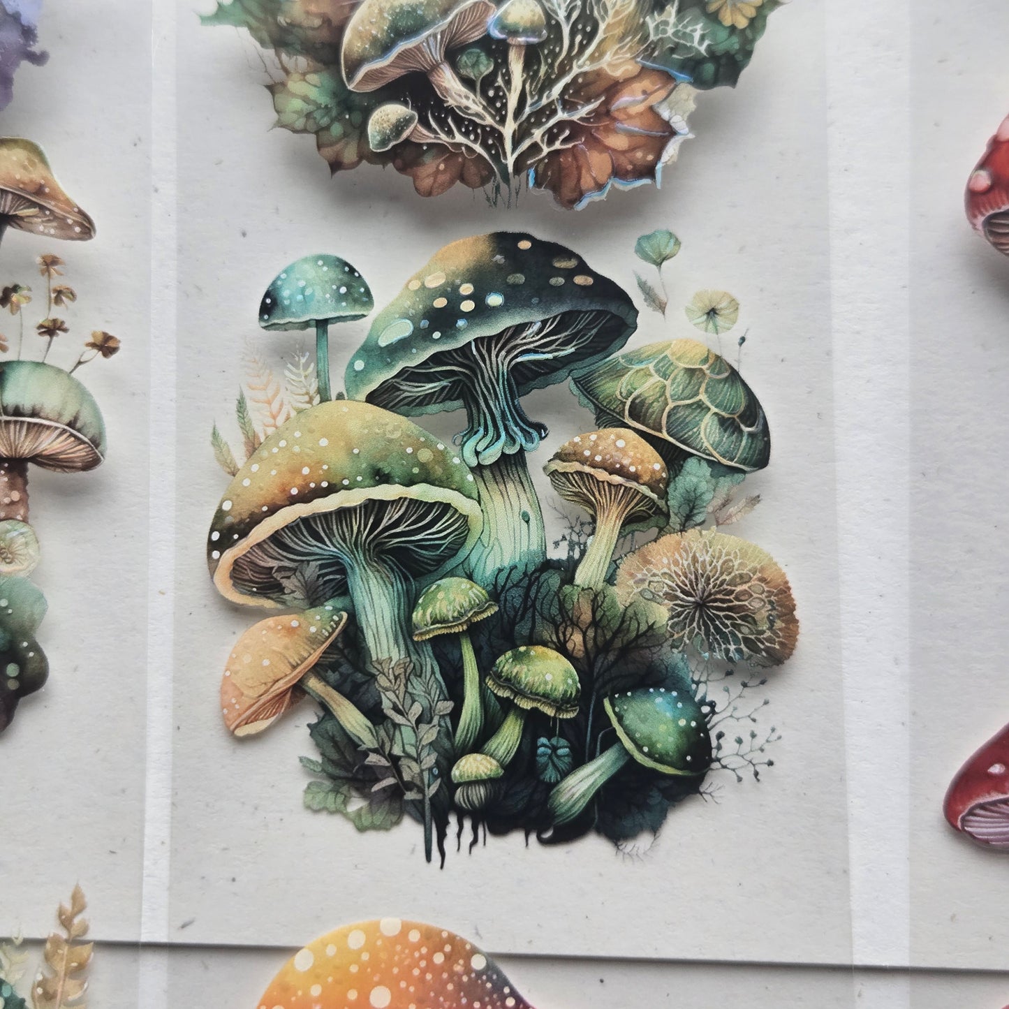 London Gifties A Mushroom Rainbow 6cm Wide Kiss Cut Ink PET Tape