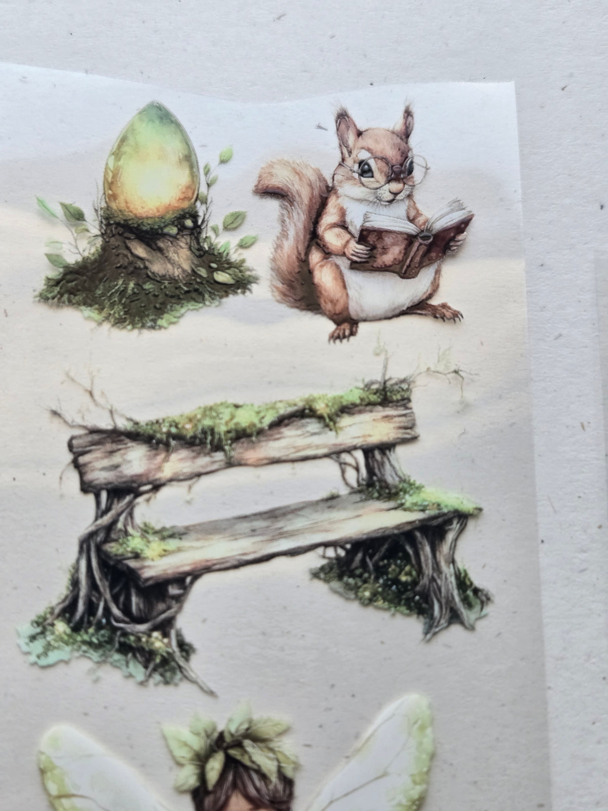 ONWIZE Enchanted Woodland PET Tape