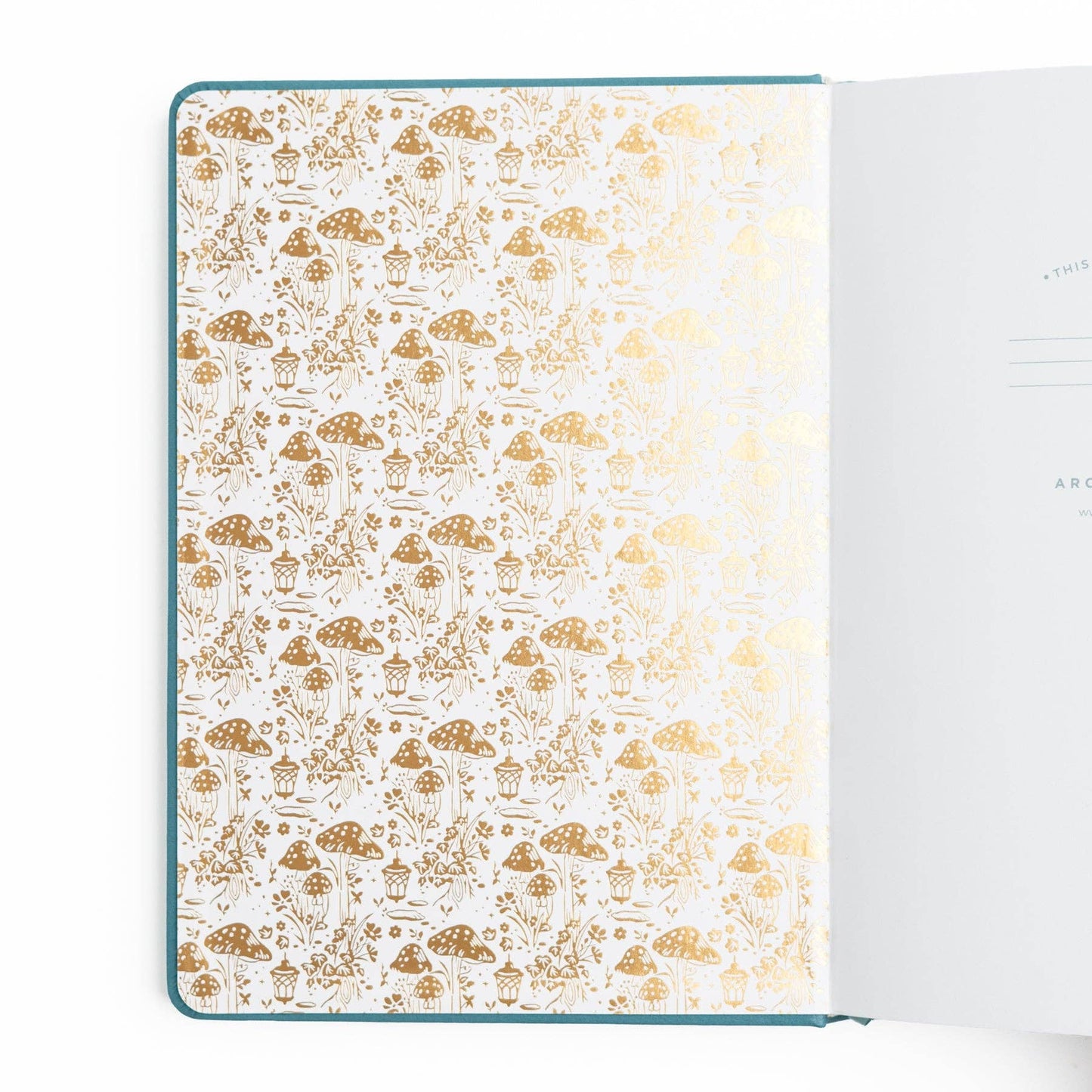 Archer & Olive Fairy House | Notebook: Dot Grid / 8x8: 160 Pages