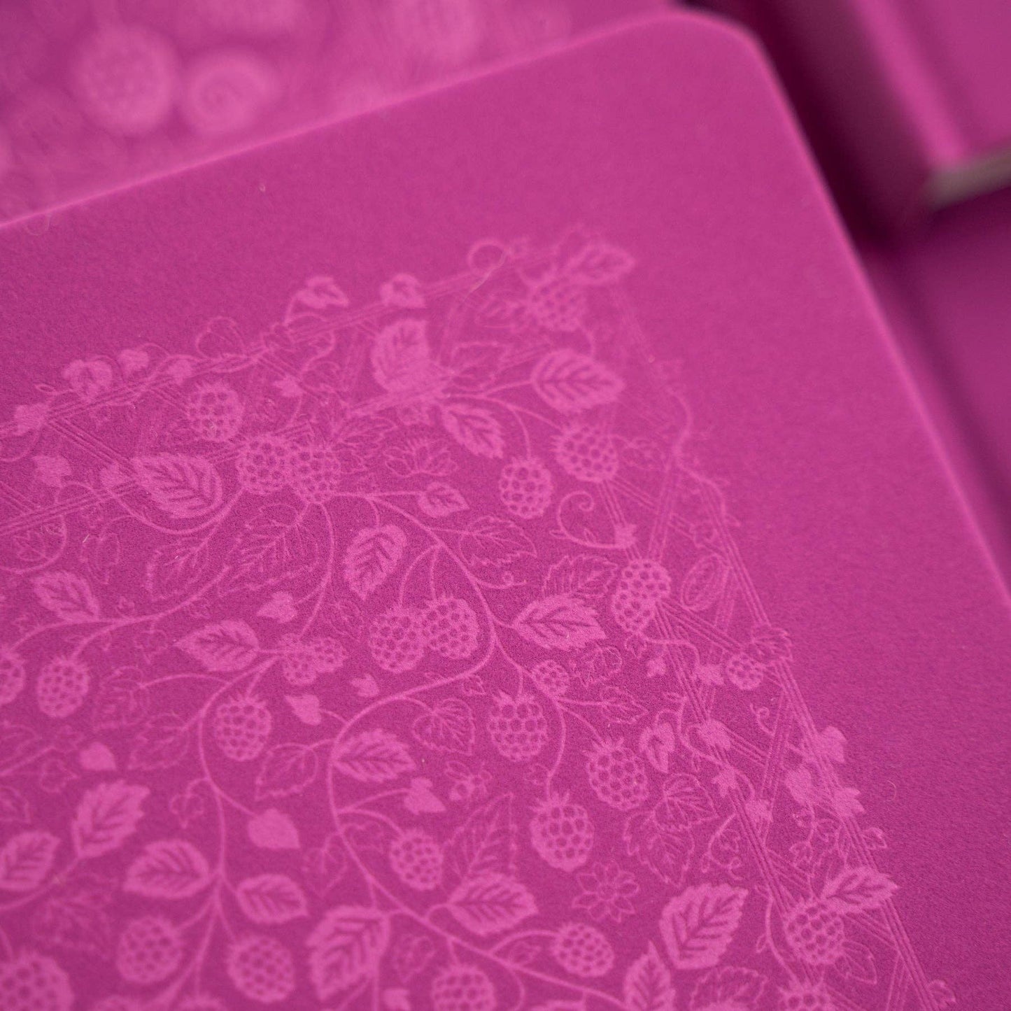 Archer & Olive Berries & Vines | Notebook: Dot Grid / B5: 160 Pages