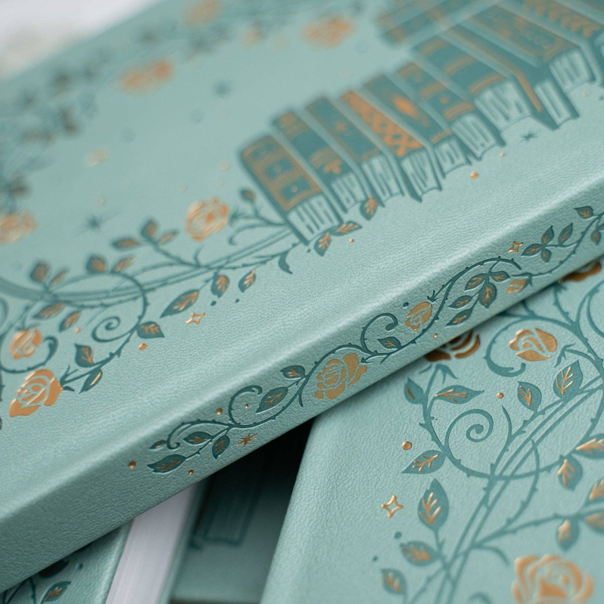 A5 Reading Journal: Books of Beauty