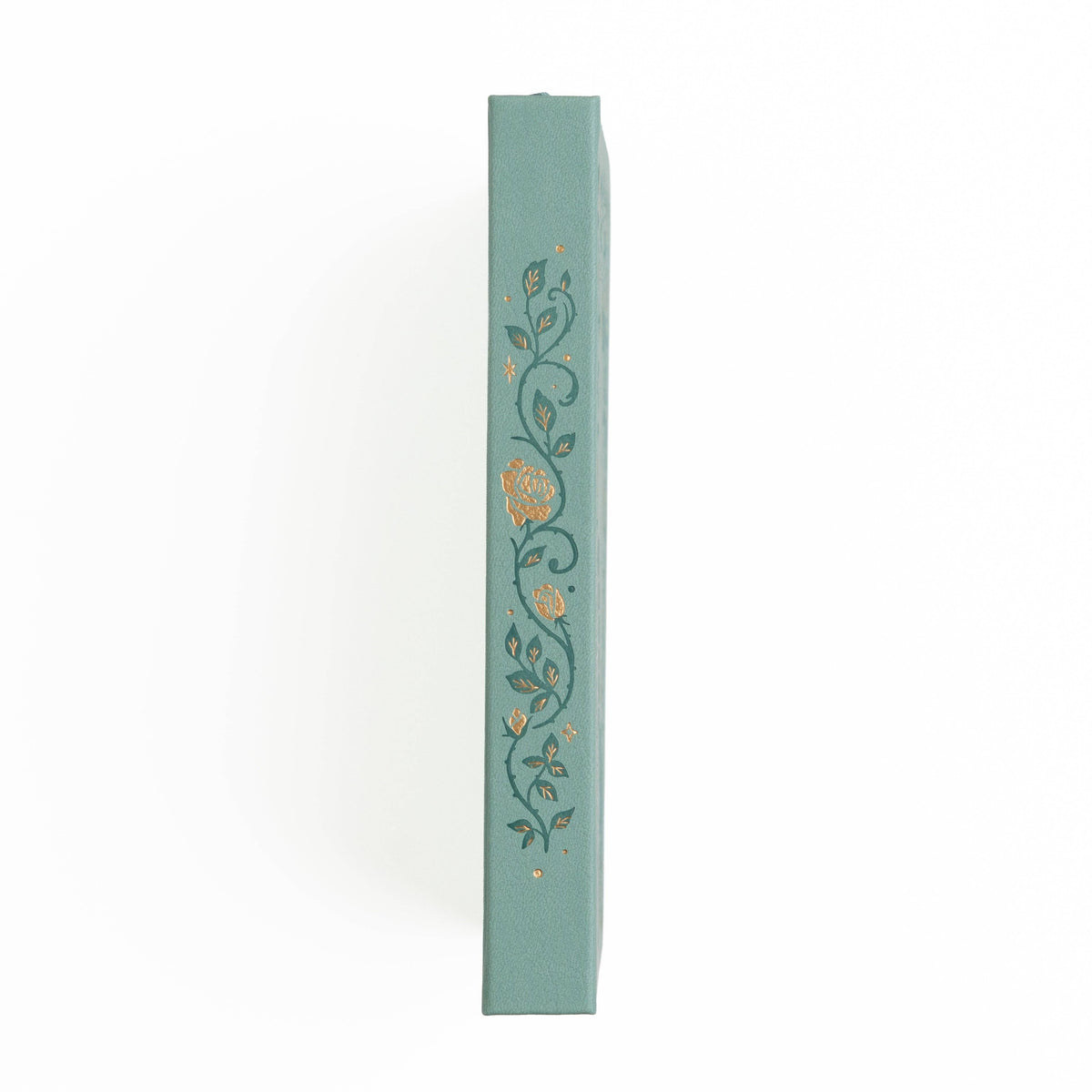 A5 Reading Journal: Books of Beauty