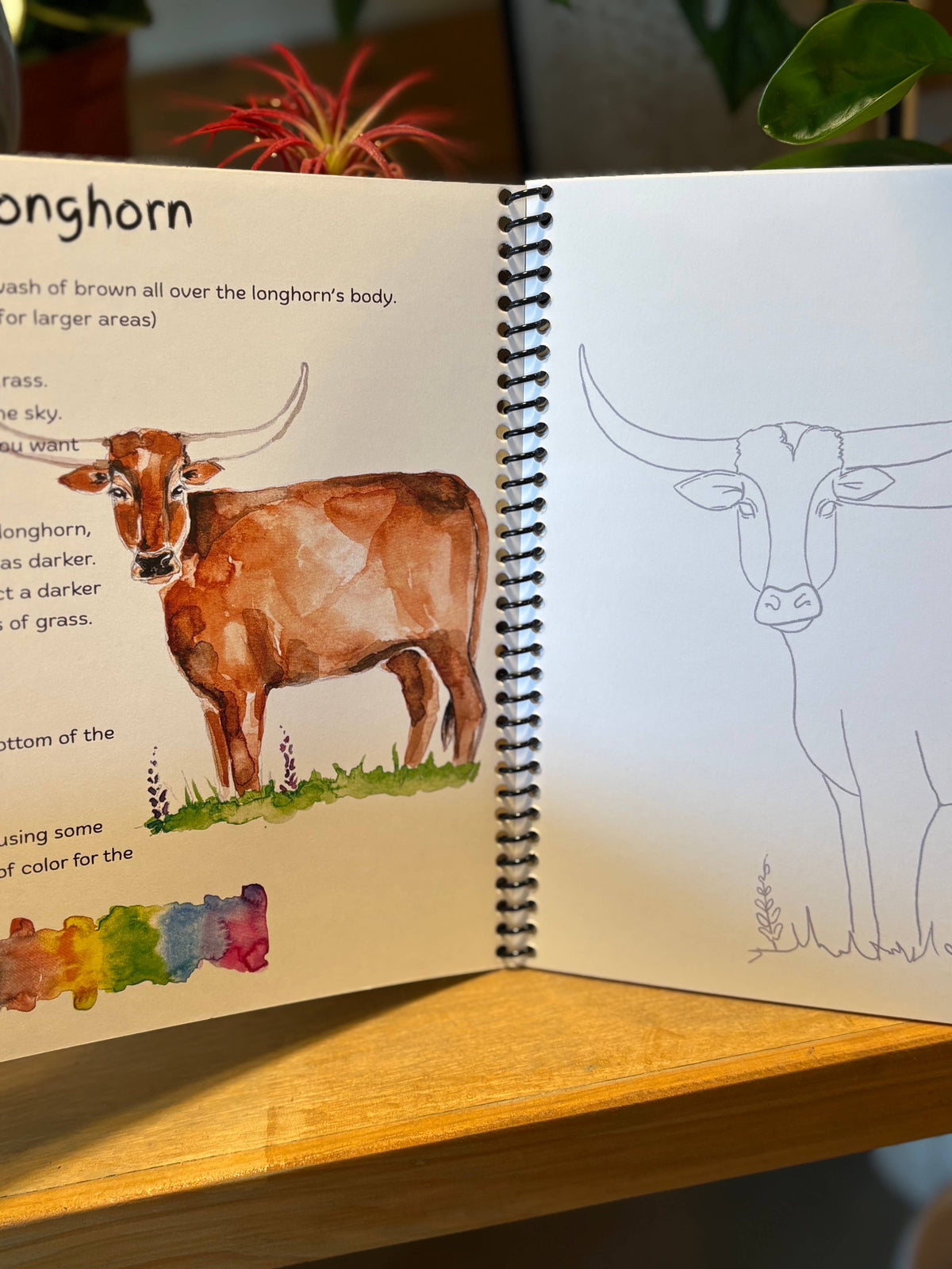 Texas watercolor art workbook with bluebonnets and longhorns