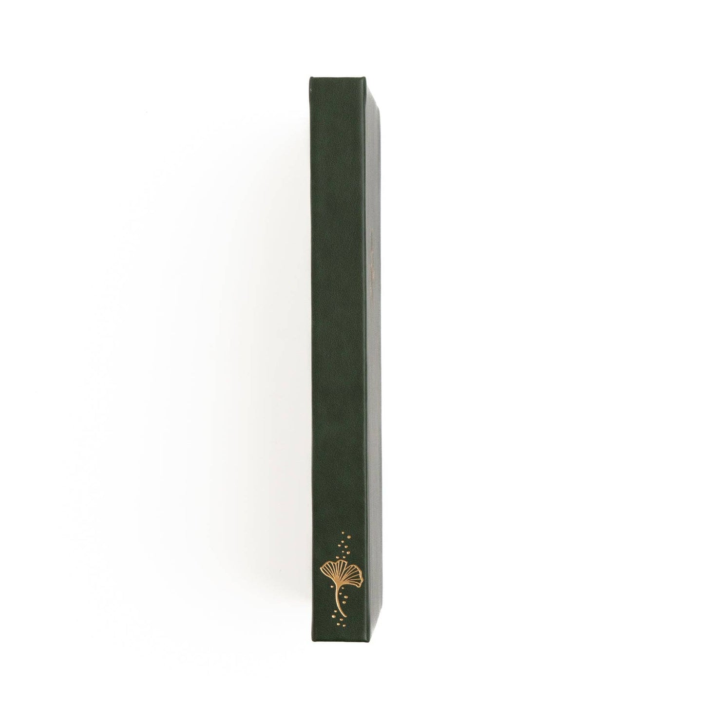 Archer and Olive Special Edition B5 Ginkgo Leaf