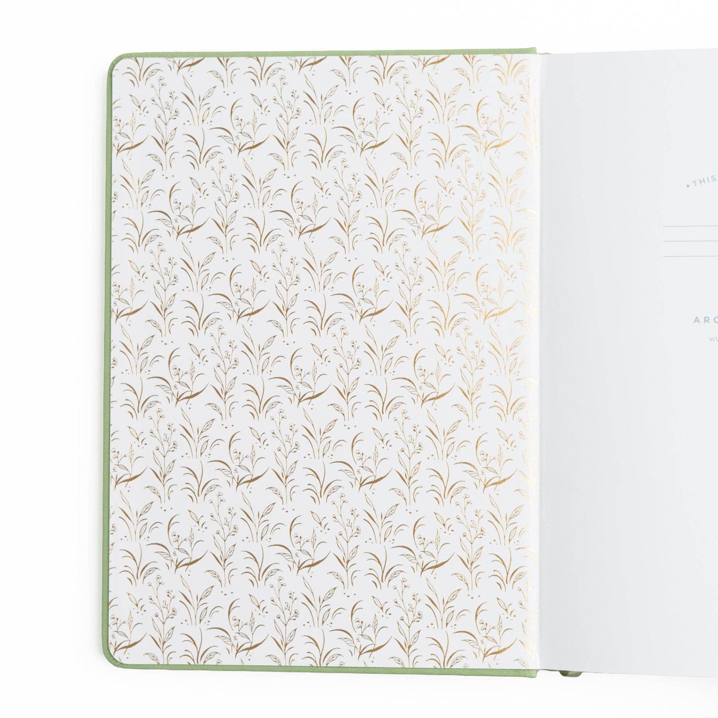 Archer & Olive Retailer's Special Edition | Turtle Notebook: A5: 192 Pages