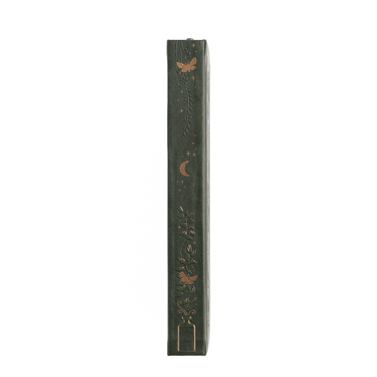 Apothecary Shelf | Notebook - image 4