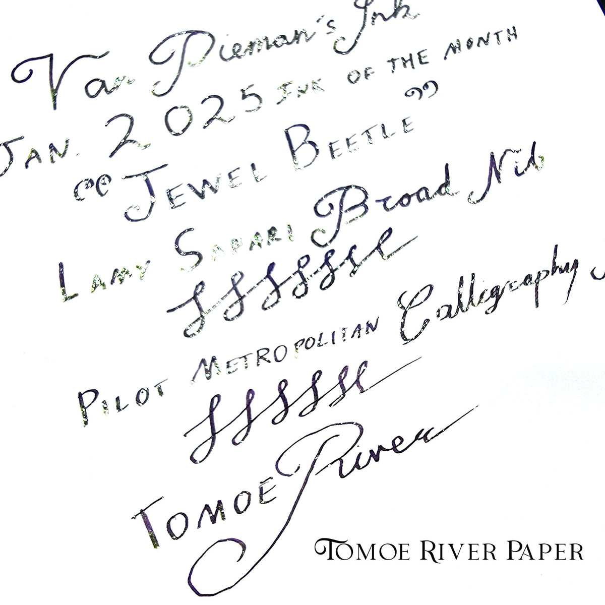 2025 Ink of the Month - Jewel Beetle - 4ml Fountain Pen Ink Sample