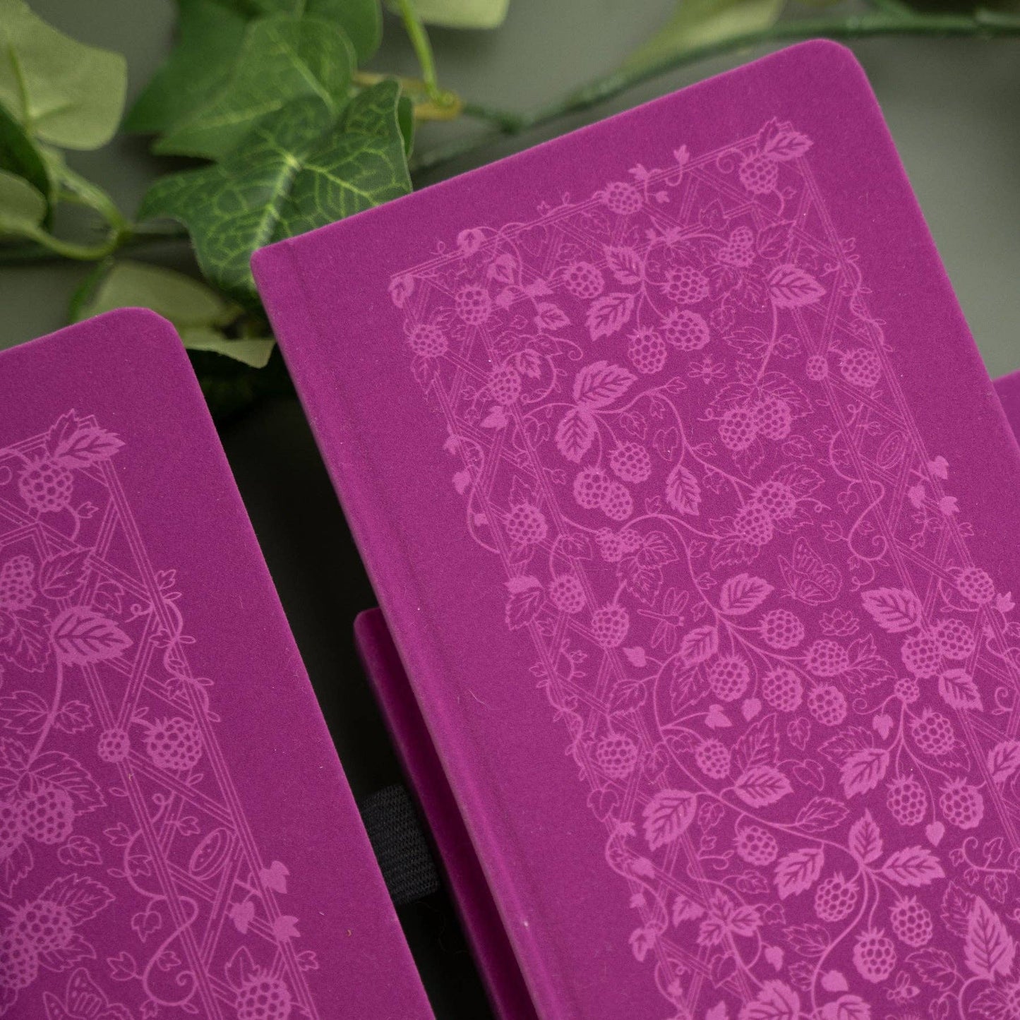 Archer & Olive Berries & Vines | Notebook: Dot Grid / B5: 160 Pages