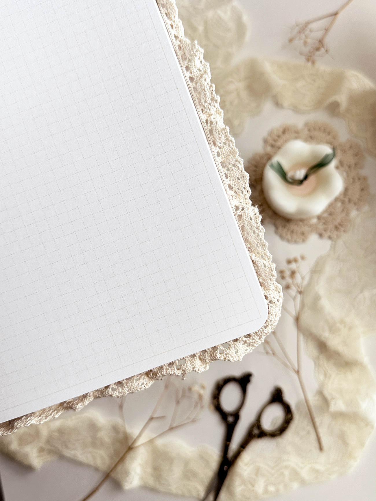 Leela Journals TN teddy bear notebook (dot grid)