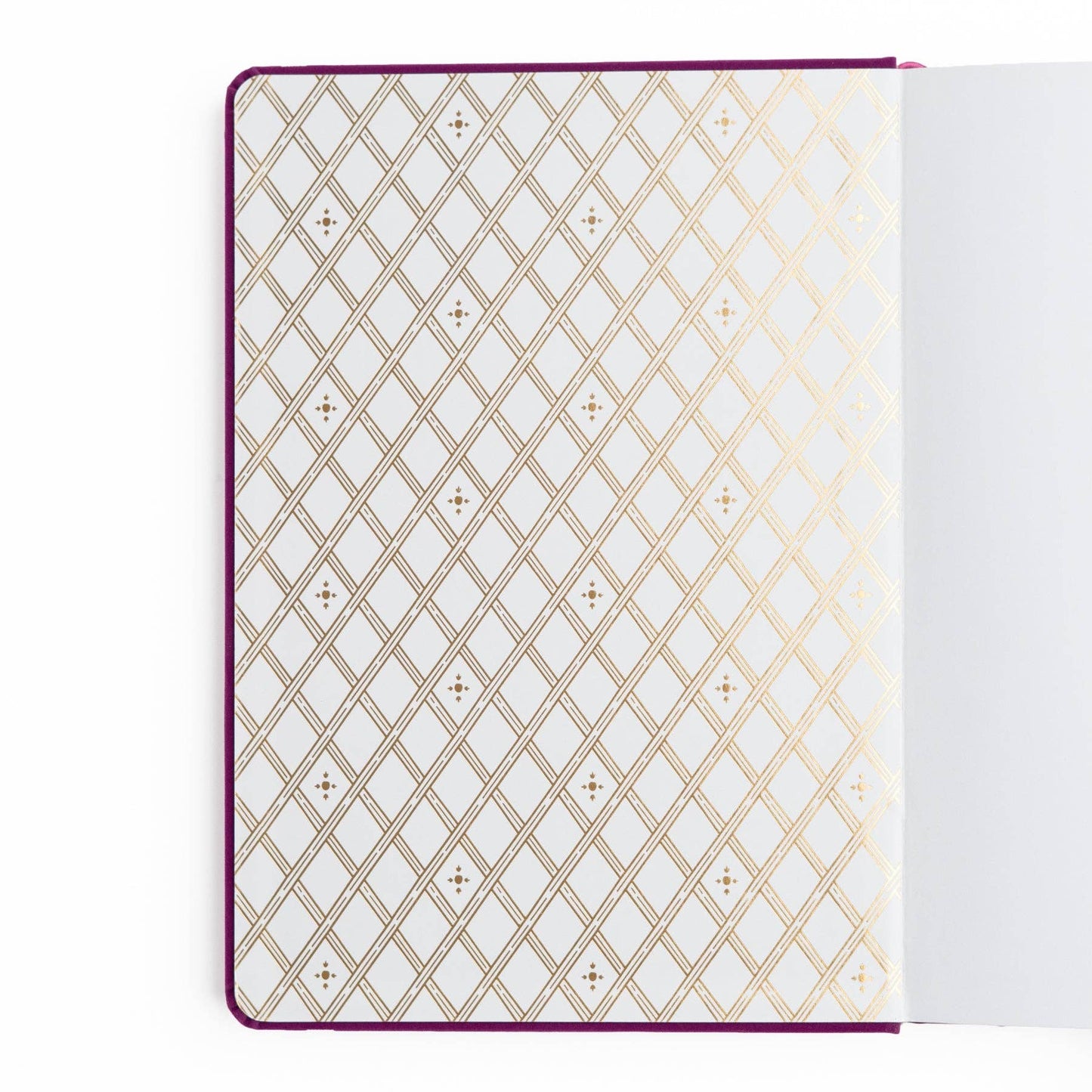 Archer & Olive Berries & Vines | Notebook: Dot Grid / B5: 160 Pages