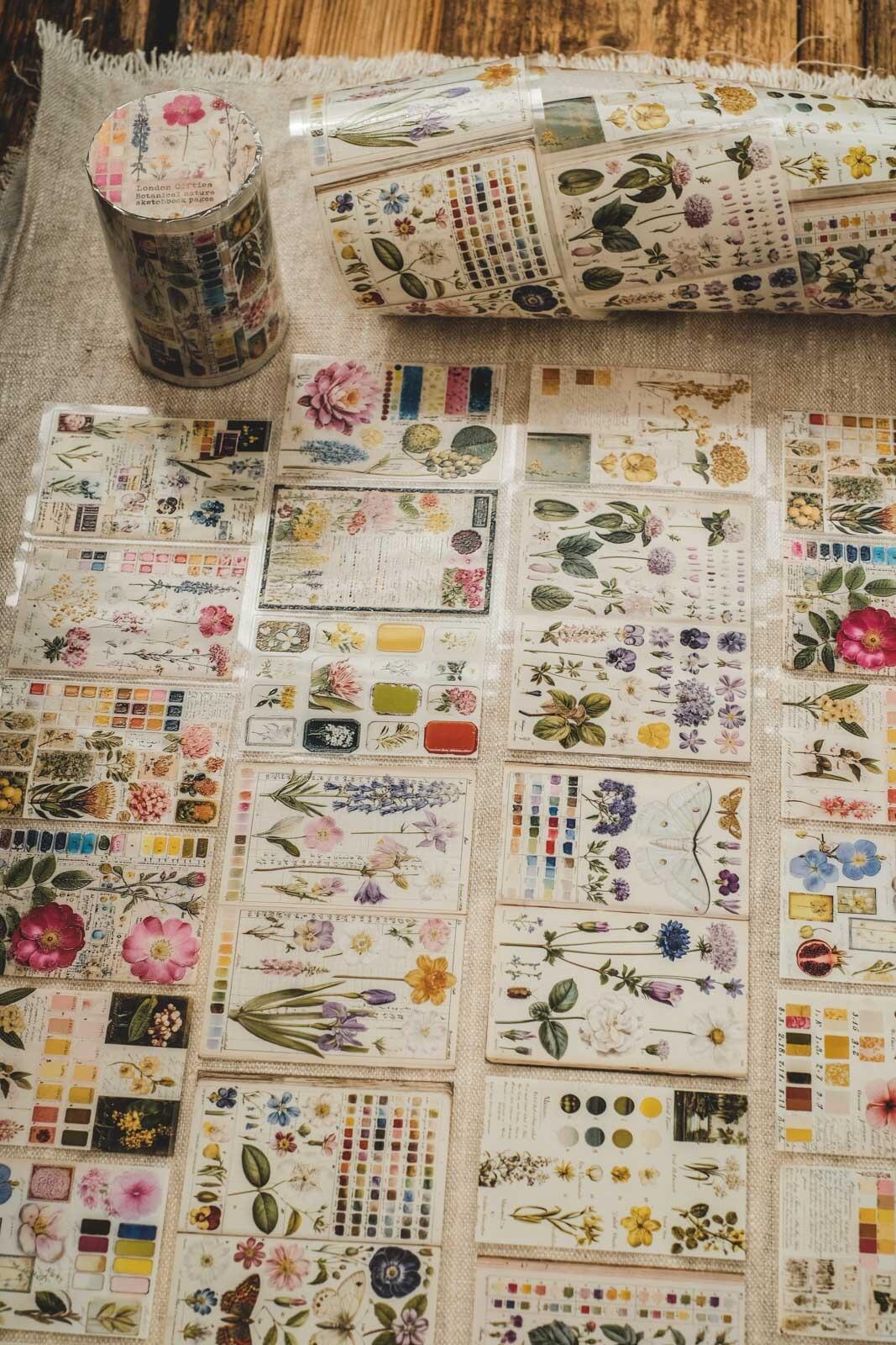 Botanical Nature Sketchbook Pages London Gifties tape