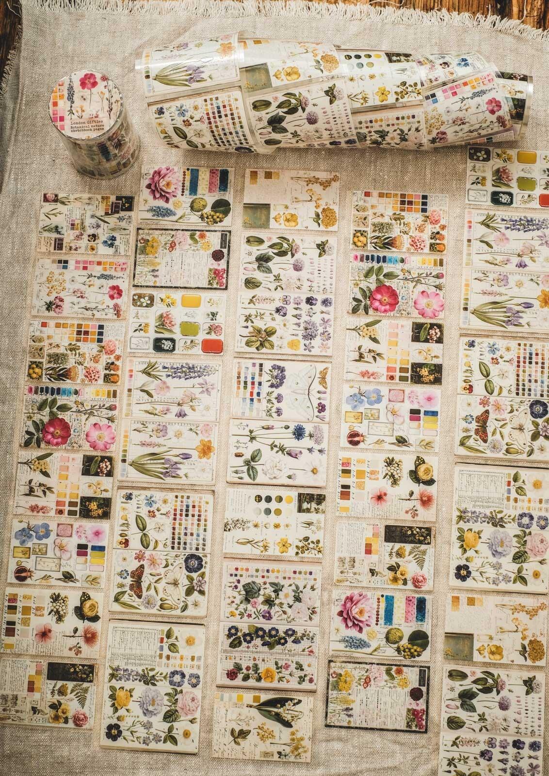Botanical Nature Sketchbook Pages London Gifties tape