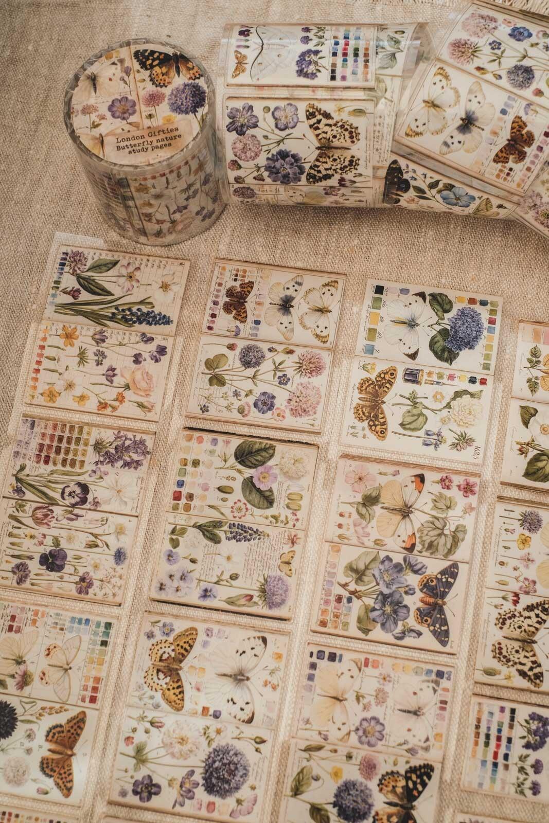 Butterfly Nature Study Pages London Gifties tape