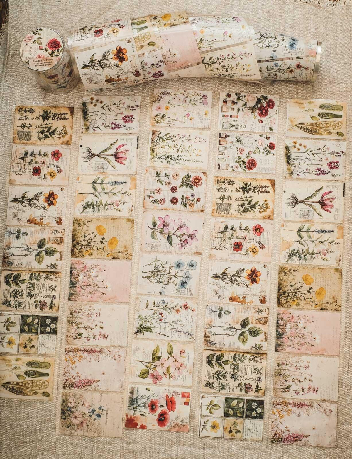 Vintage Botany Journal Pages London Gifties tape