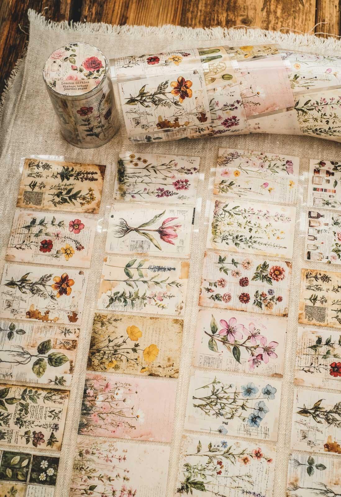 Vintage Botany Journal Pages London Gifties tape