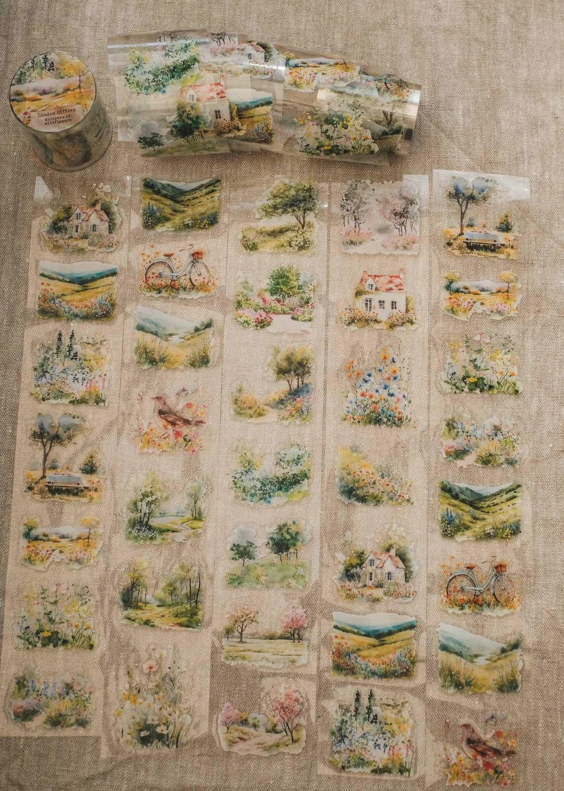 Whispers of Wildflowers 6cm wide gloss kiss cut PET tape