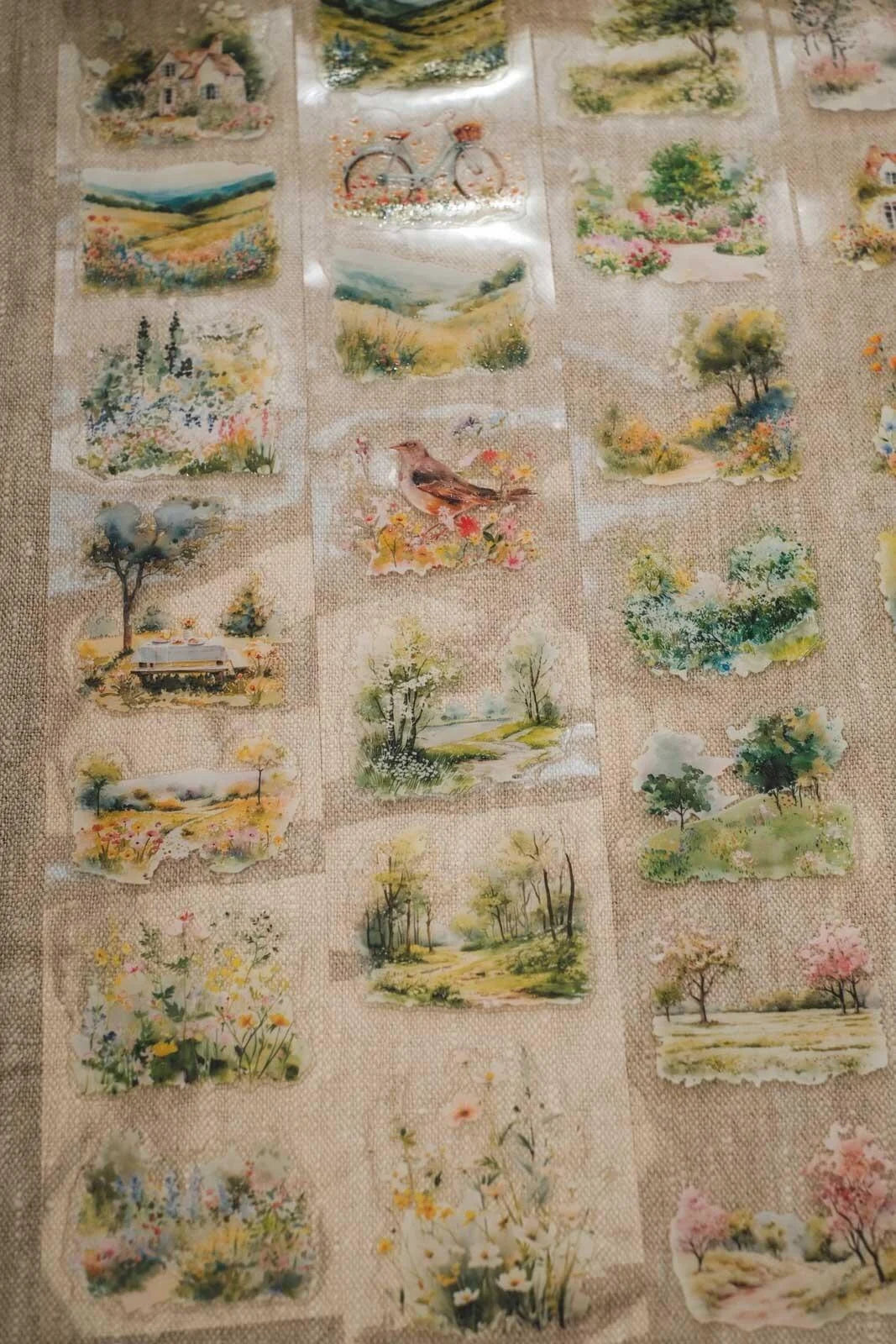 Whispers of Wildflowers 6cm wide gloss kiss cut PET tape