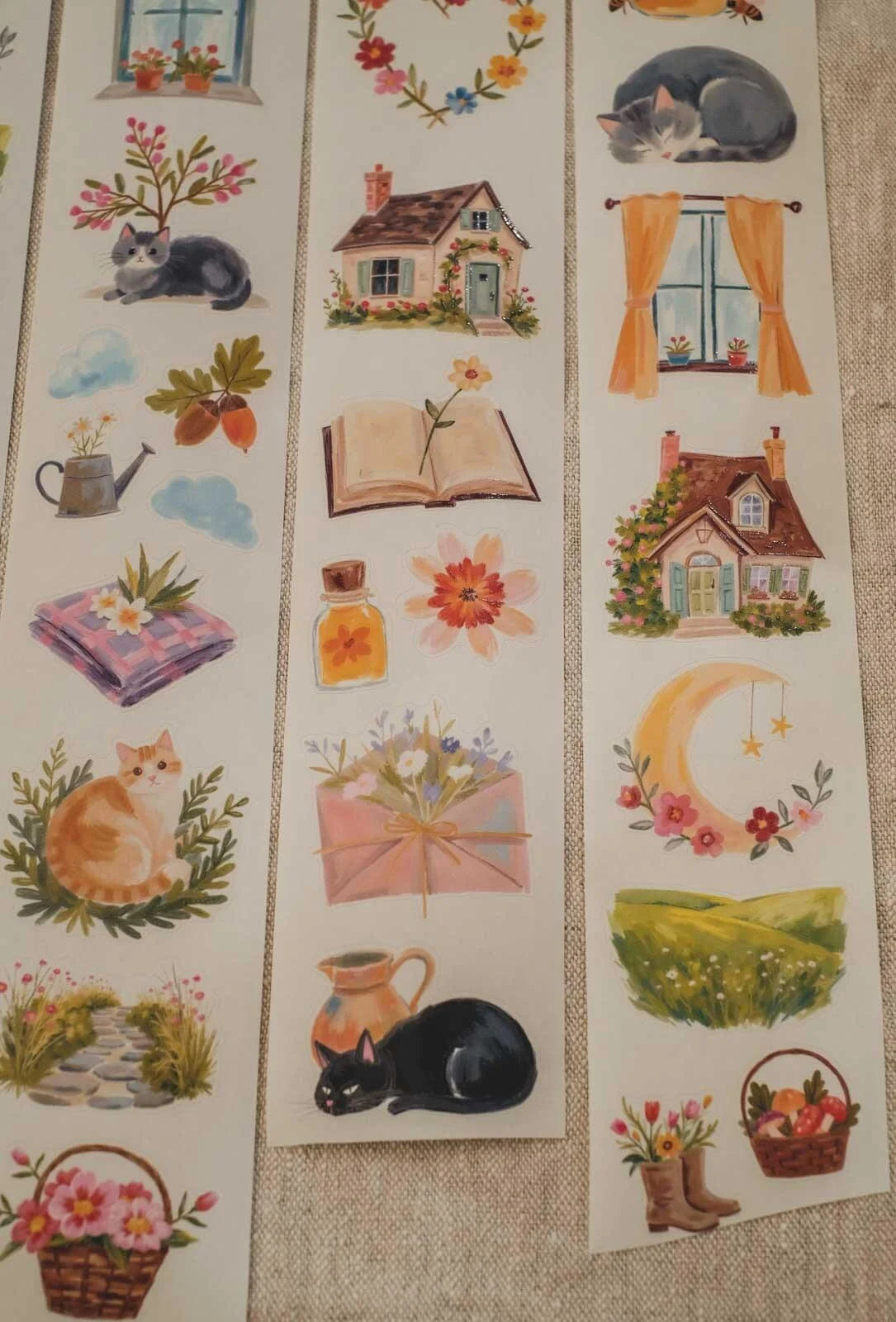 Whisker's Cottage 6cm wide glossy 3D kiss-cut Washi Tape