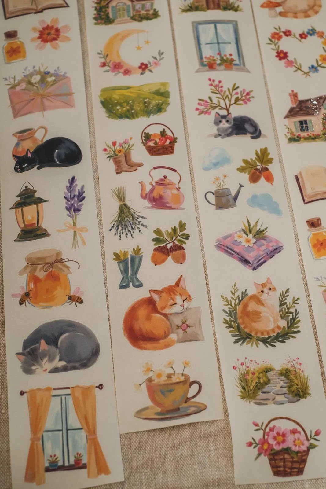 Whisker's Cottage 6cm wide glossy 3D kiss-cut Washi Tape