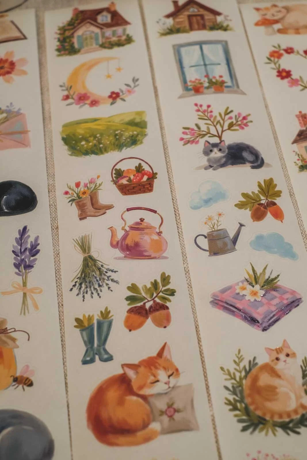 Whisker's Cottage 6cm wide glossy 3D kiss-cut Washi Tape
