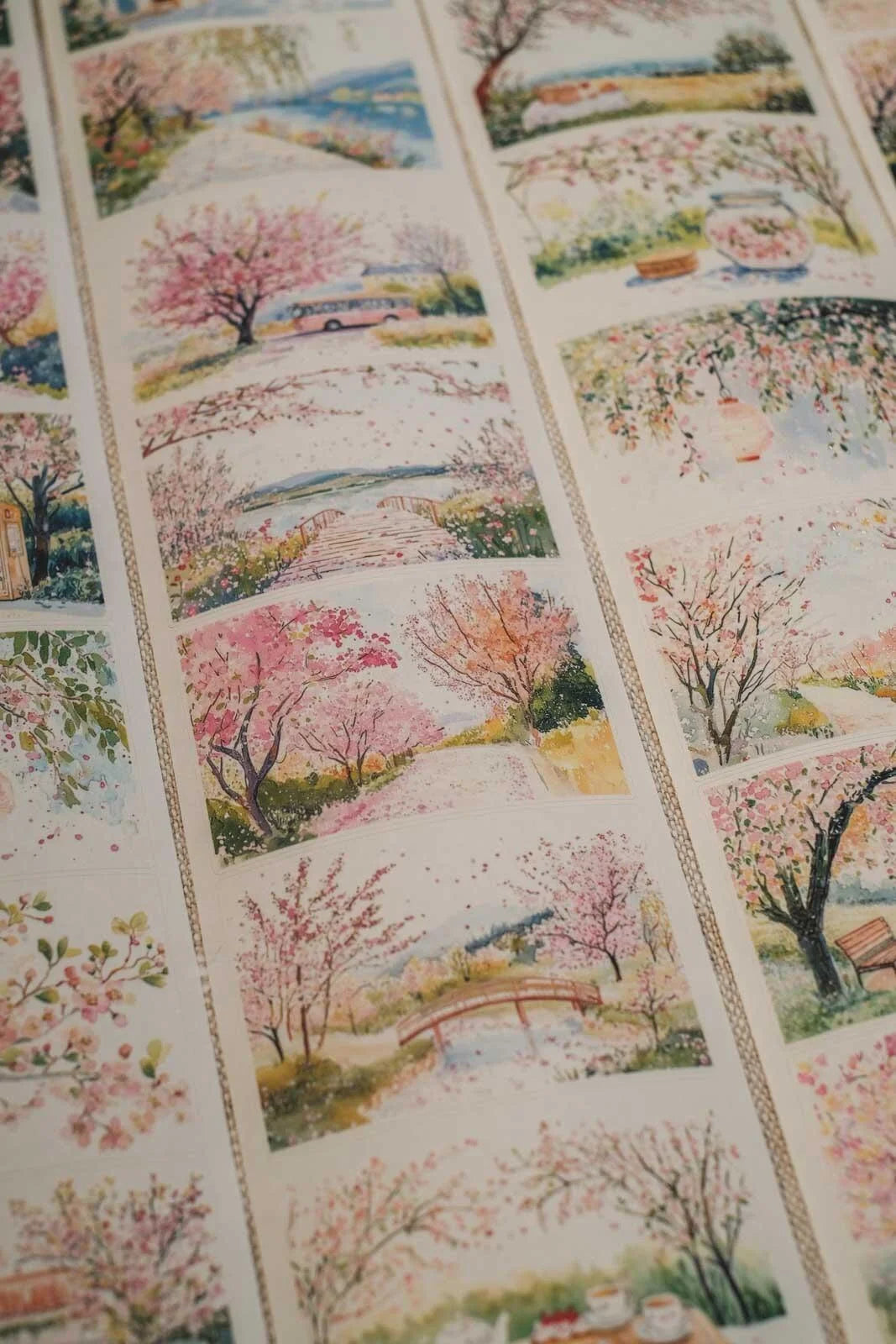 Sweet Sakura Time 7cm wide glossy 3D kiss-cut PET & Washi Tape