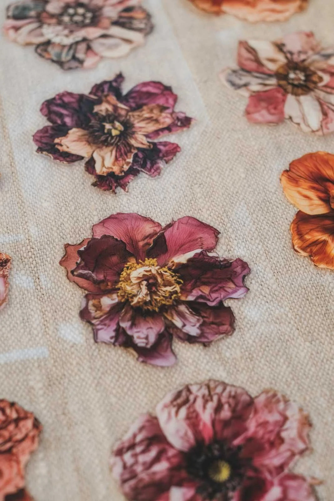 Pressed & Patchwork Florals 6cm wide gloss kiss cut PET tape