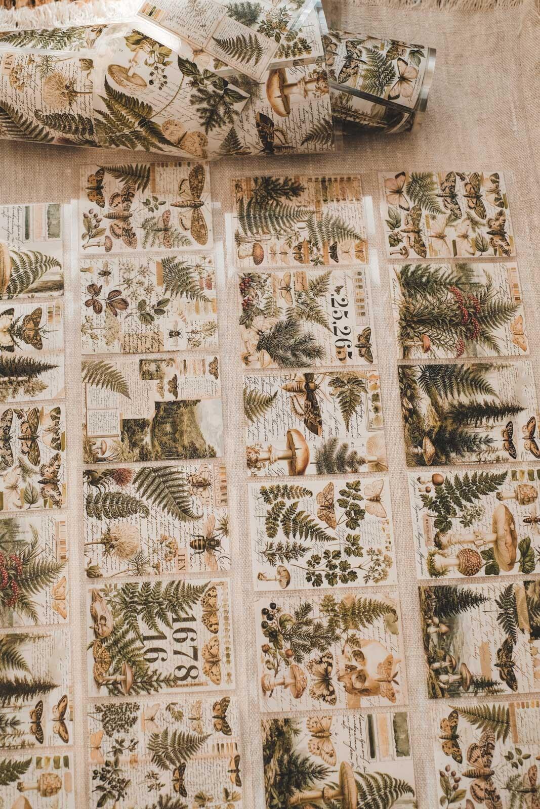Woodland Sketchbook Notes 8cm Wide Kiss Cut Ink PET Tape — image 4