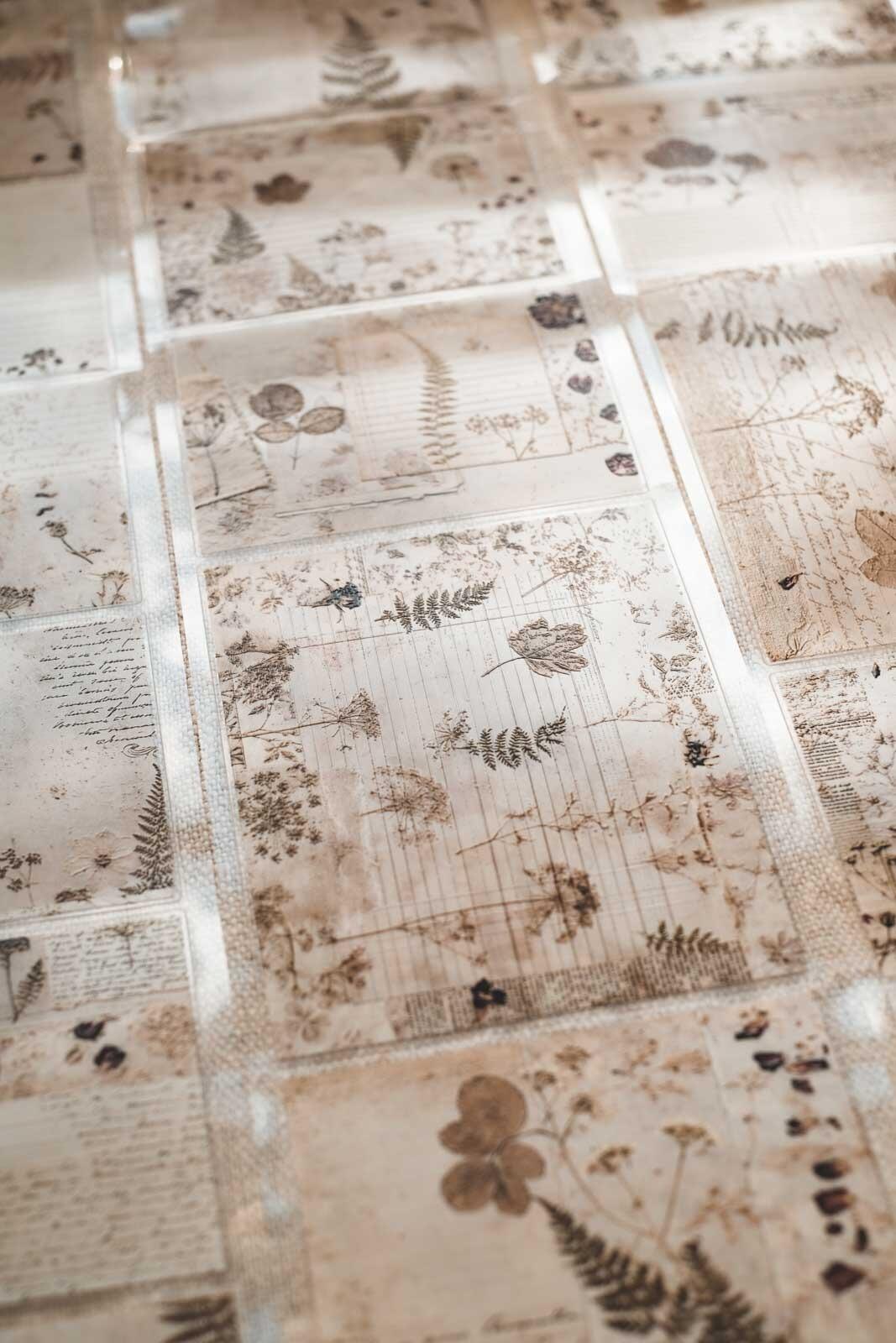 Autumn Pressed Floral Pages 8cm Wide Kiss Cut Ink PET Tape — image 7
