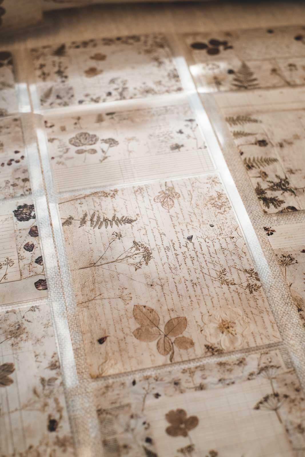 Autumn Pressed Floral Pages 8cm Wide Kiss Cut Ink PET Tape — image 8