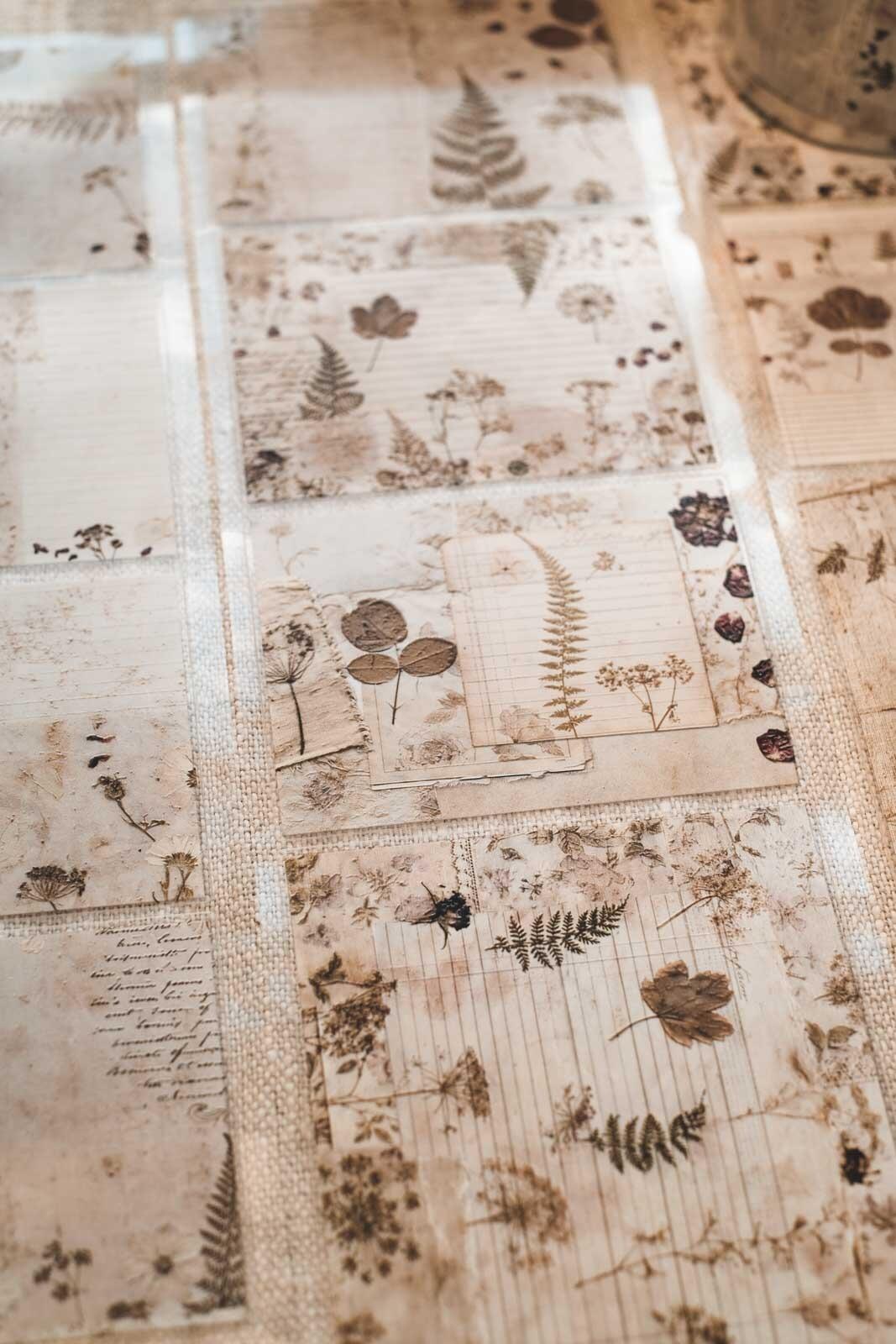 Autumn Pressed Floral Pages 8cm Wide Kiss Cut Ink PET Tape — image 13