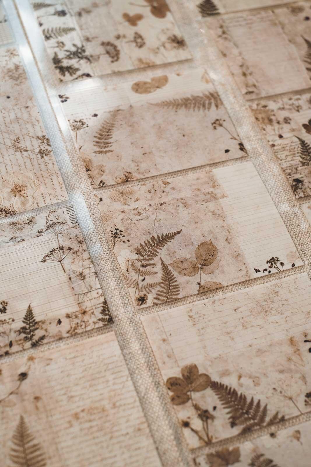 Autumn Pressed Floral Pages 8cm Wide Kiss Cut Ink PET Tape — image 14