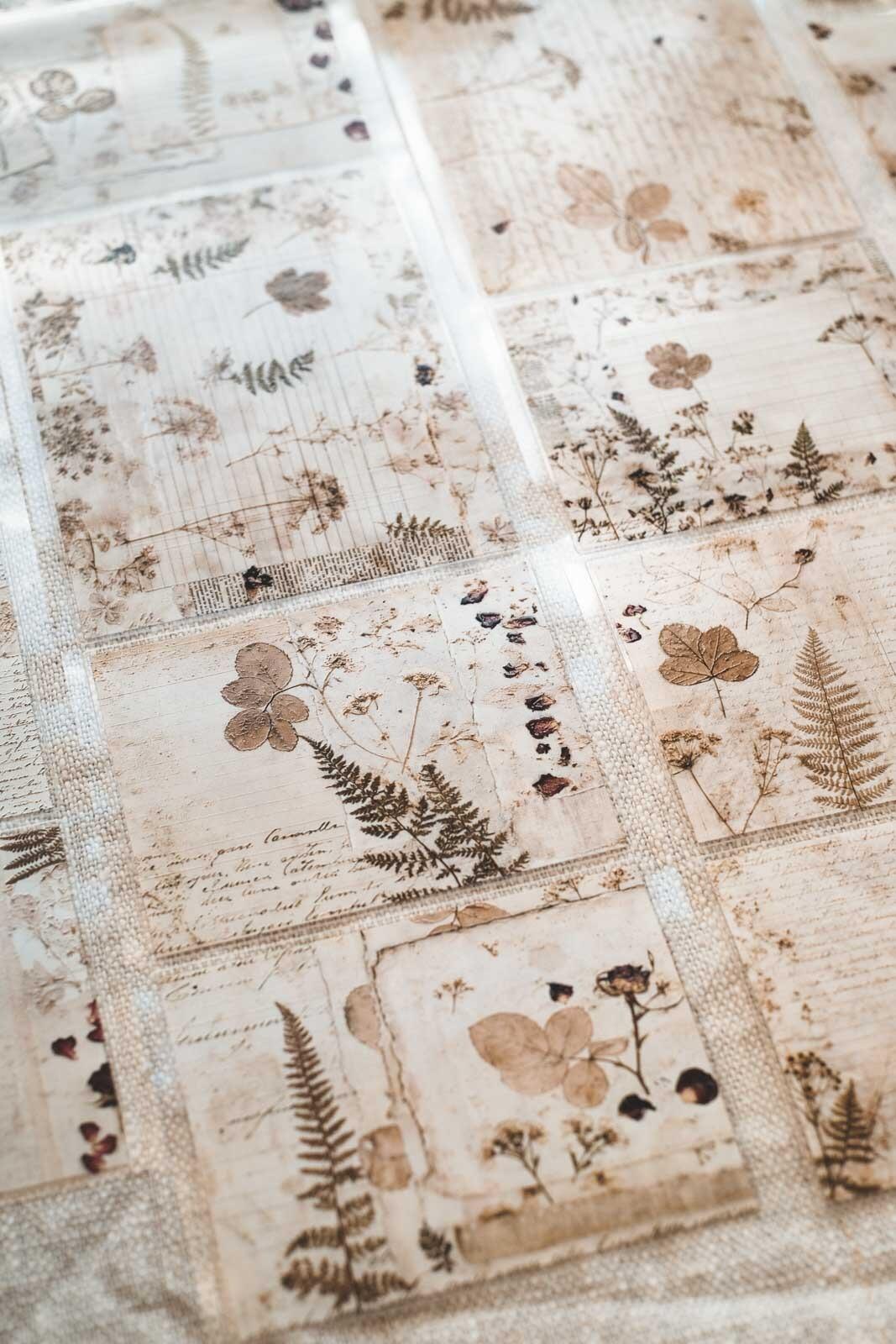 Autumn Pressed Floral Pages 8cm Wide Kiss Cut Ink PET Tape — image 15