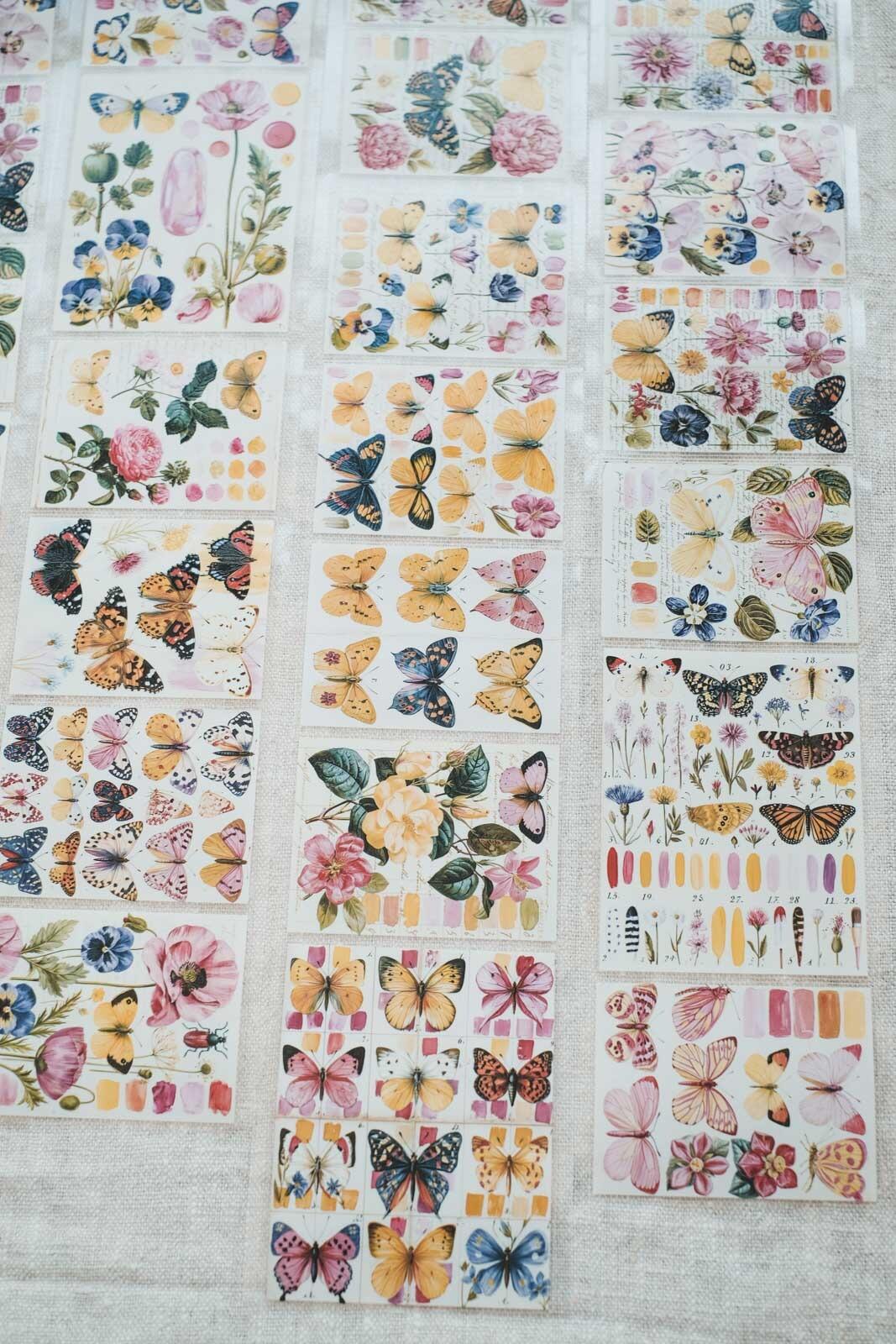 Butterflies: Notes of Colour 8cm Wide Kiss Cut Ink PET Tape — image 5