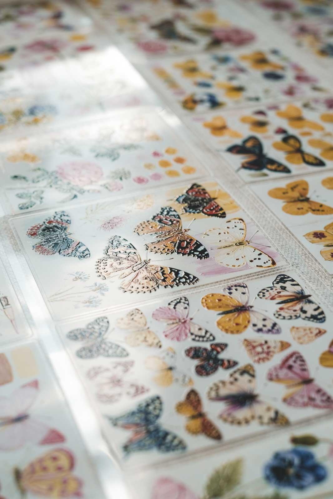 Butterflies: Notes of Colour 8cm Wide Kiss Cut Ink PET Tape — image 15