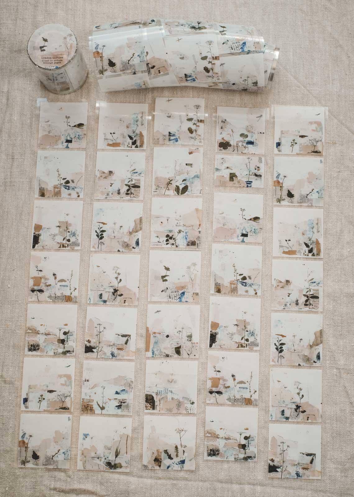 Glued in Nature Collage Pages 6cm Wide Kiss Cut Ink PET Tape — image 2