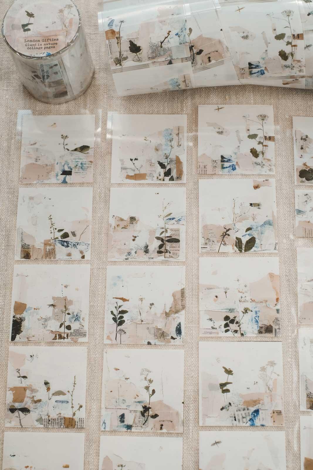 Glued in Nature Collage Pages 6cm Wide Kiss Cut Ink PET Tape — image 3