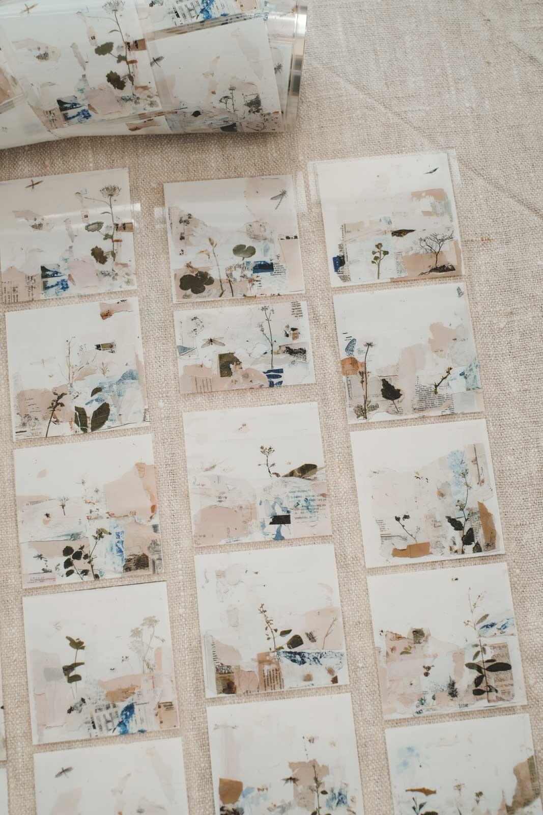 Glued in Nature Collage Pages 6cm Wide Kiss Cut Ink PET Tape — image 4
