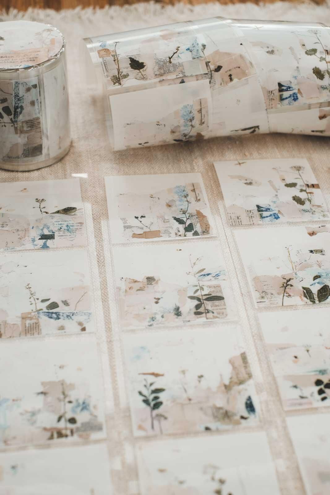 Glued in Nature Collage Pages 6cm Wide Kiss Cut Ink PET Tape — image 9