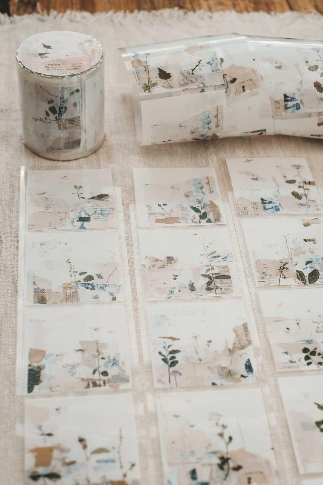 Glued in Nature Collage Pages 6cm Wide Kiss Cut Ink PET Tape — image 10